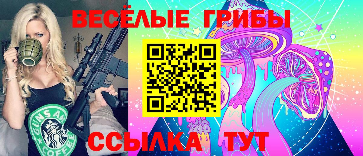 Нальчик  Псилоцибиновые грибы Psilocybe  Вход с VPN  Псилоцибиновые грибы MAGIC MUSHROOMS 