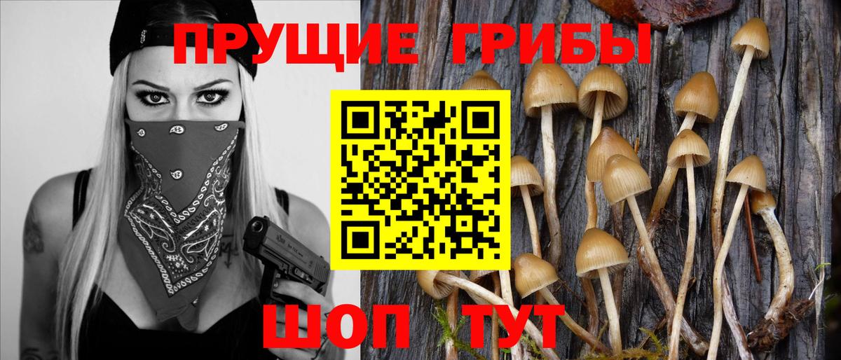 Галлюциногенные грибы Magic Shrooms Нальчик